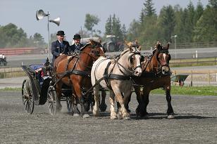 img_136_3625w.jpg