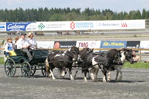 img_136_3630w.jpg
