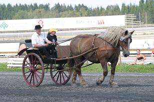 img_136_3634w.jpg