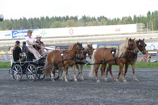 img_136_3636w.jpg