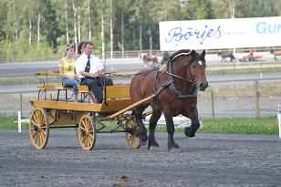 img_136_3637w.jpg