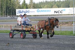 img_136_3639w.jpg