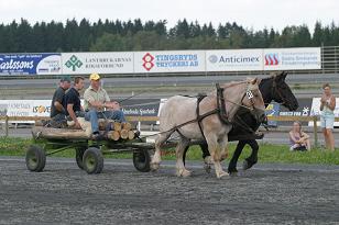 img_136_3643w.jpg