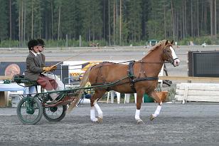 img_136_3647w.jpg