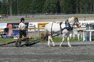 img_136_3657w.jpg