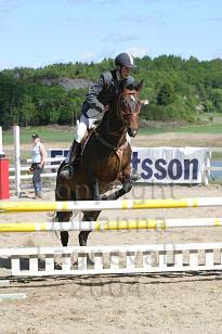 img_108_0820_w.jpg