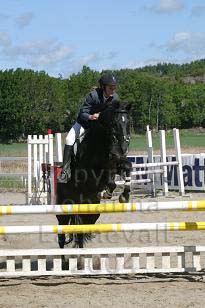 img_108_0822_w.jpg