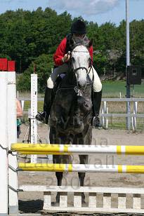 img_108_0824_w.jpg