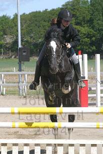 img_108_0826_w.jpg