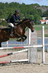 img_108_0827_w.jpg