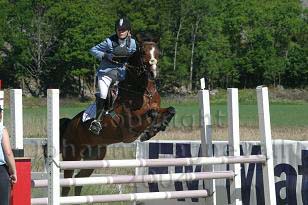 img_108_0833_w.jpg