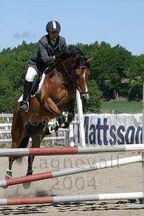 img_108_0848_w.jpg