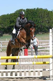 img_108_0849_w.jpg