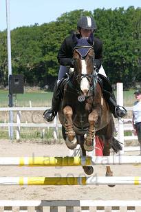 img_108_0860_w.jpg