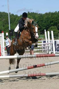 img_108_0863_w.jpg