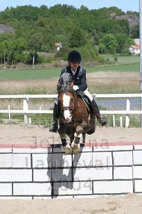 img_108_0867_w.jpg