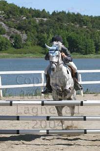 img_108_0868_w.jpg