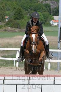 img_108_0876_w.jpg