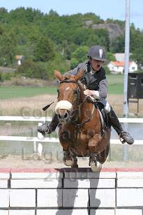 img_108_0895_w.jpg