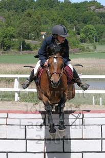 img_109_0902_w.jpg