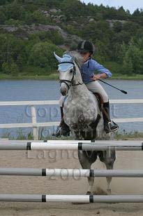 img_109_0942_w.jpg
