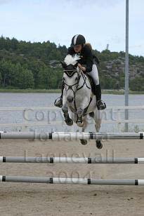 img_109_0944_w.jpg
