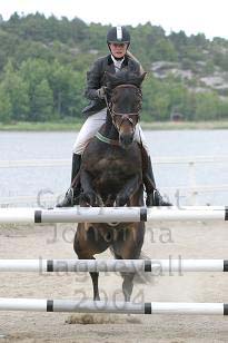 img_109_0945_w.jpg