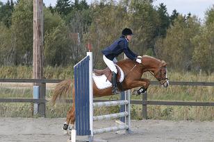ann-sofie_bostorpssultan_148_4886w.jpg