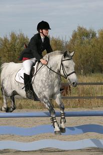 sandra_greybazil_149_4917w.jpg