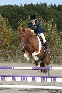 elin_patch_149_4939w.jpg