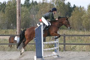 emma_surprise_149_4963w.jpg
