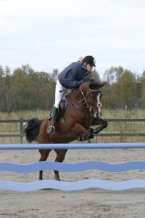 sanna_mrsbutterfly_149_4978w.jpg