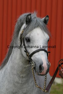 dyfrdwyserenydyffryn_3673.jpg