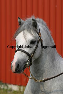 dyfrdwyserenydyffryn_3675.jpg