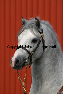 dyfrdwyserenydyffryn_3676.jpg
