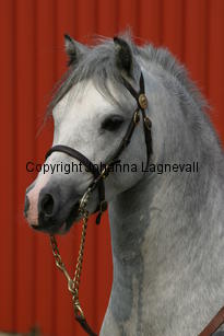 dyfrdwyserenydyffryn_3677.jpg