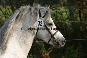 dyfrdwyserenydyffryn_3779.jpg
