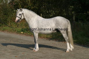 malbymeiyen_3729.jpg