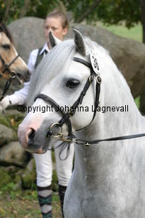 malbymeiyen_3845.jpg