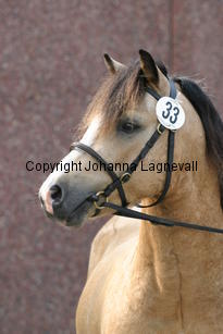 molstabergssoprano_3663.jpg
