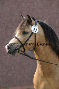 molstabergssoprano_3666.jpg