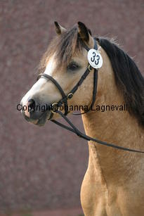 molstabergssoprano_3667.jpg