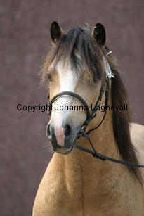 molstabergssoprano_3669.jpg
