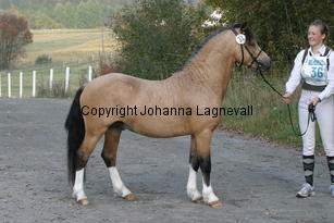 molstabergssoprano_3732.jpg