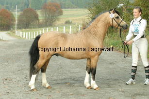 molstabergssoprano_3736.jpg