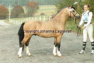 molstabergssoprano_3737.jpg