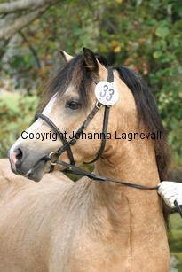 molstabergssoprano_3847.jpg