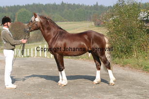 fjordglimtsirthomson_3712.jpg
