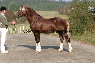 fjordglimtsirthomson_3713.jpg