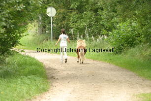almnasknockout_3541.jpg